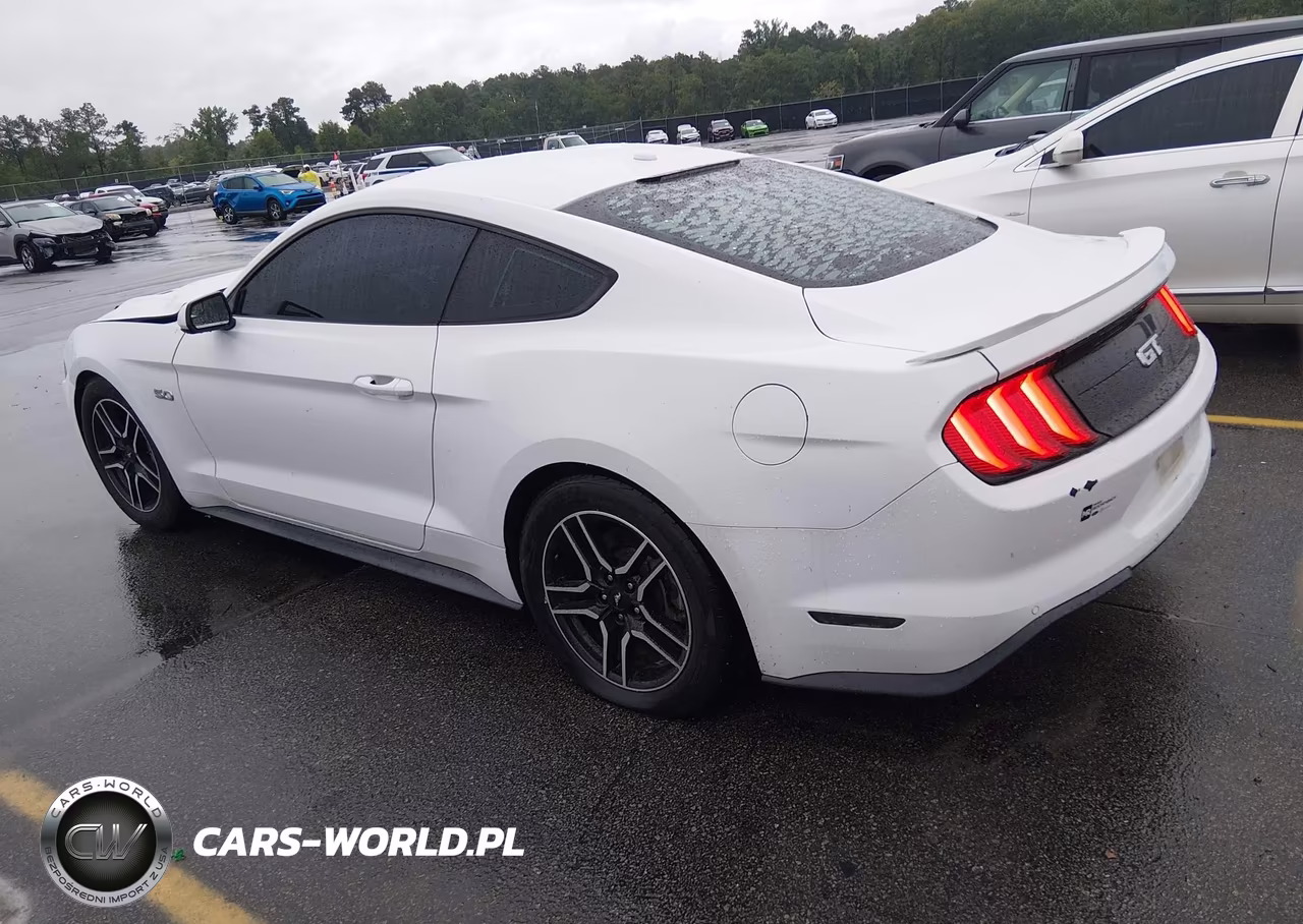 2019 Ford Mustang Gt VIN:1FA6P8CF7K5191349 - 3