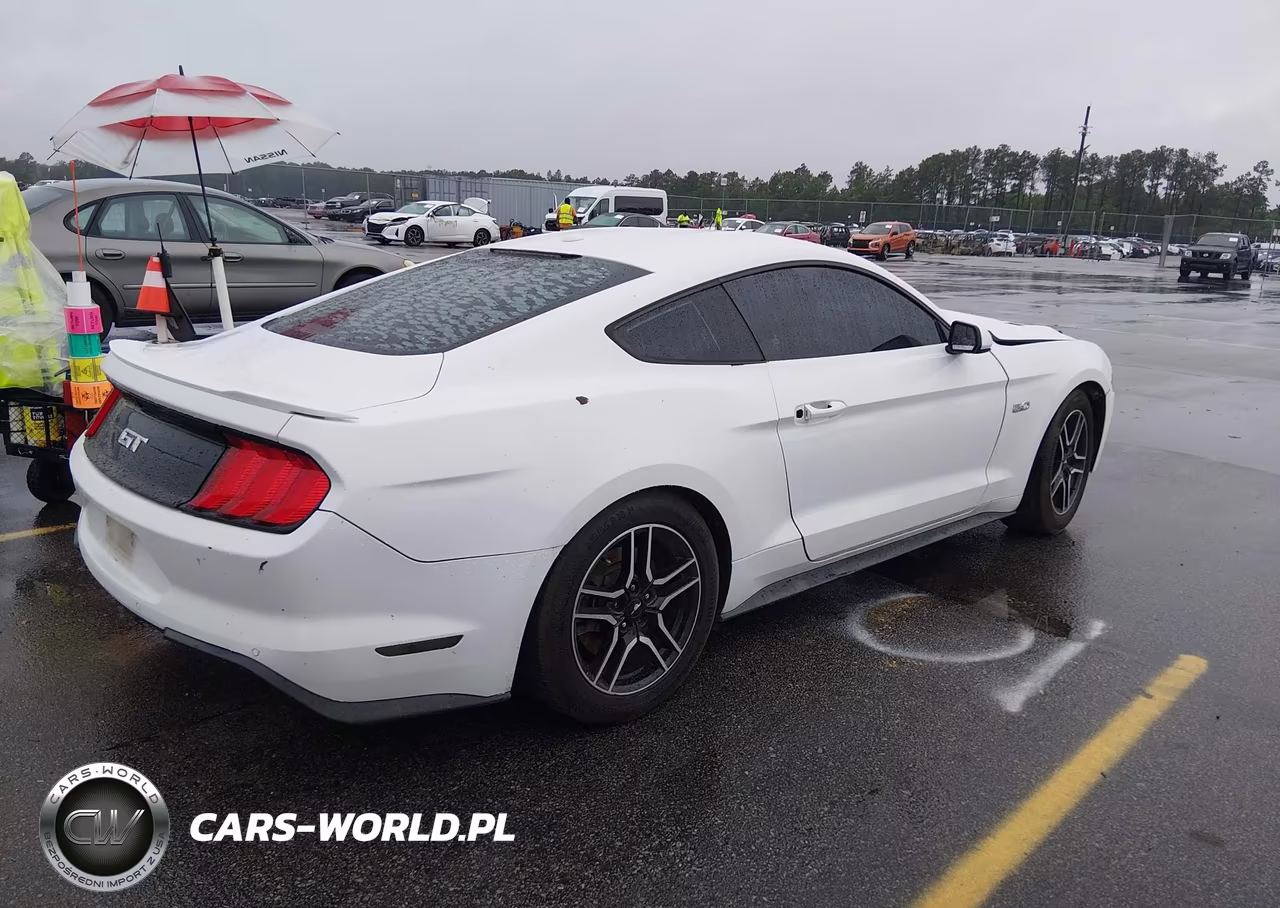 2019 Ford Mustang Gt VIN:1FA6P8CF7K5191349 - 4