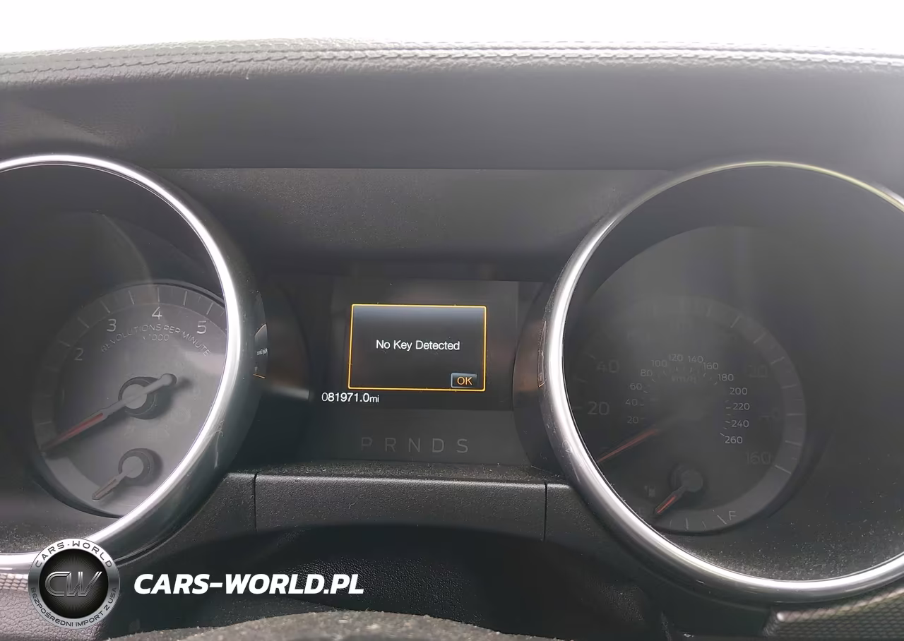 2019 Ford Mustang Gt VIN:1FA6P8CF7K5191349 - 7