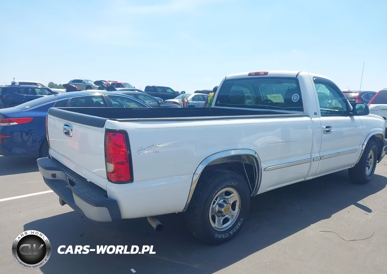 2004 Chevrolet Silverado 1500 Work Truck VIN:1GCEC14X24Z347843 - 4