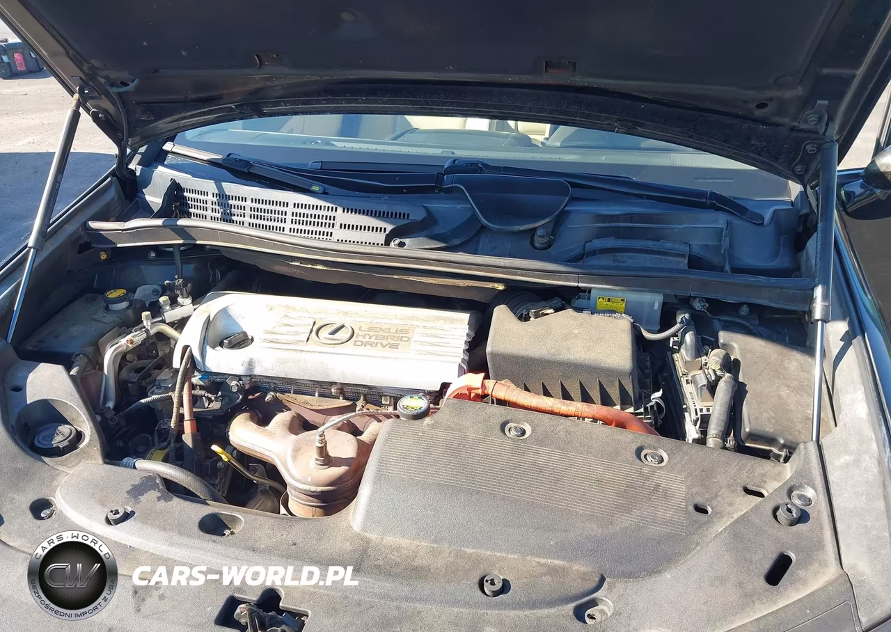 2010 Lexus Hs 250H Premium VIN:JTHBB1BA9A2002591 - 10