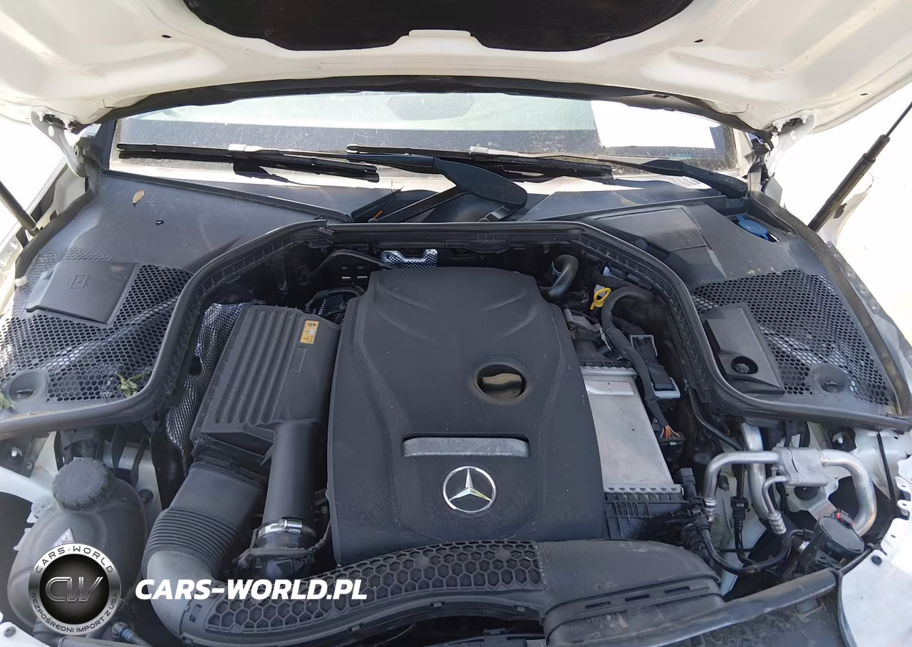 2017 Mercedes-Benz C 300 4Matic VIN:55SWF4KB8HU228063 - 10