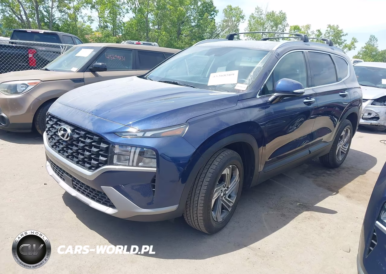 2023 Hyundai Santa Fe Sel VIN:5NMS24AJXPH545747 - 2