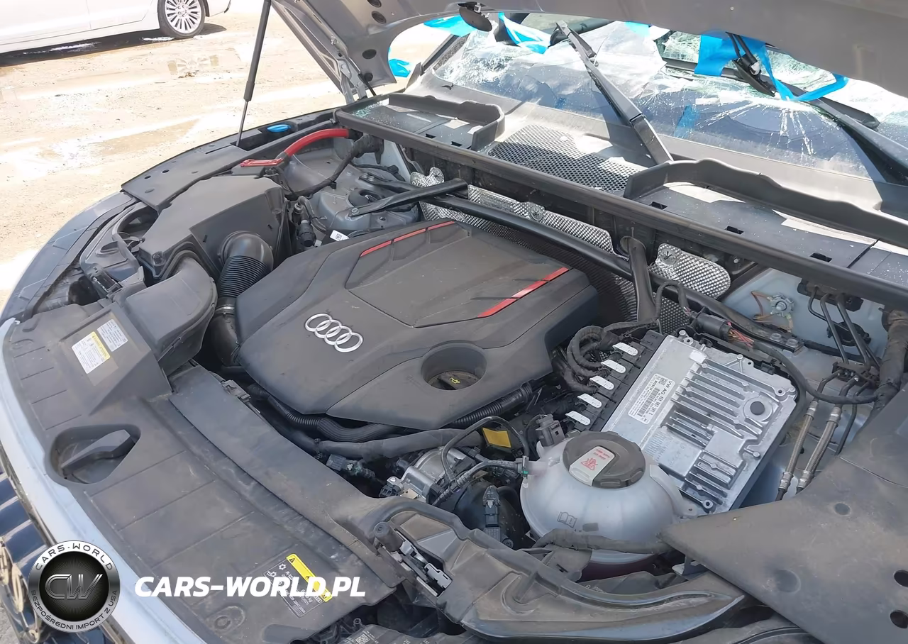 2024 Audi Sq5 Sportback Premium Plus Tfsi Quattro Tiptronic VIN:WA124AFY6R2043785 - 10