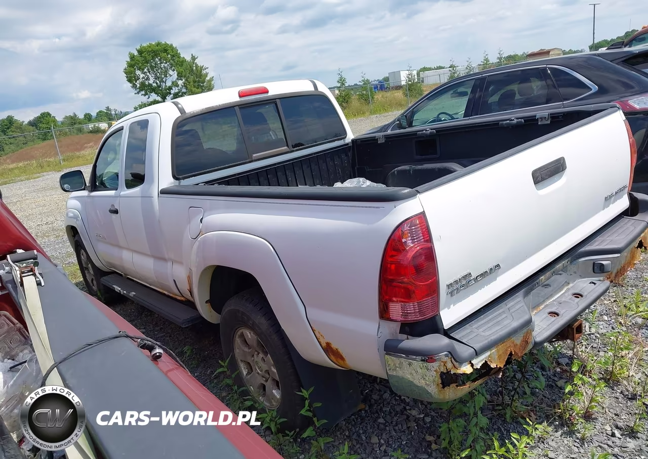2007 Toyota Tacoma Base V6 VIN:5TEUU42N77Z341041 - 3