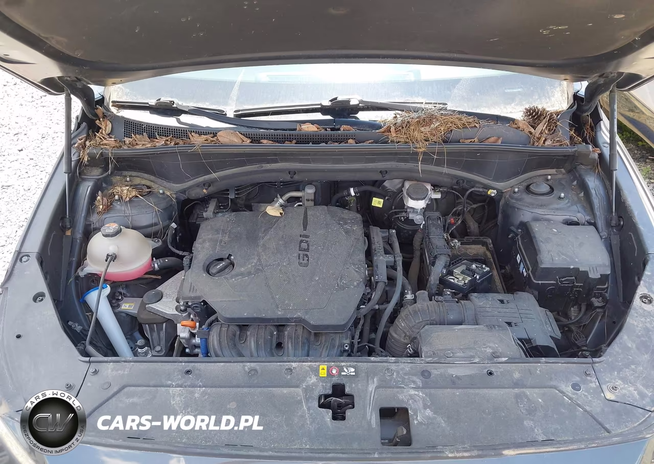 2021 Hyundai Santa Fe Se VIN:5NMS14AJ8MH323299 - 10