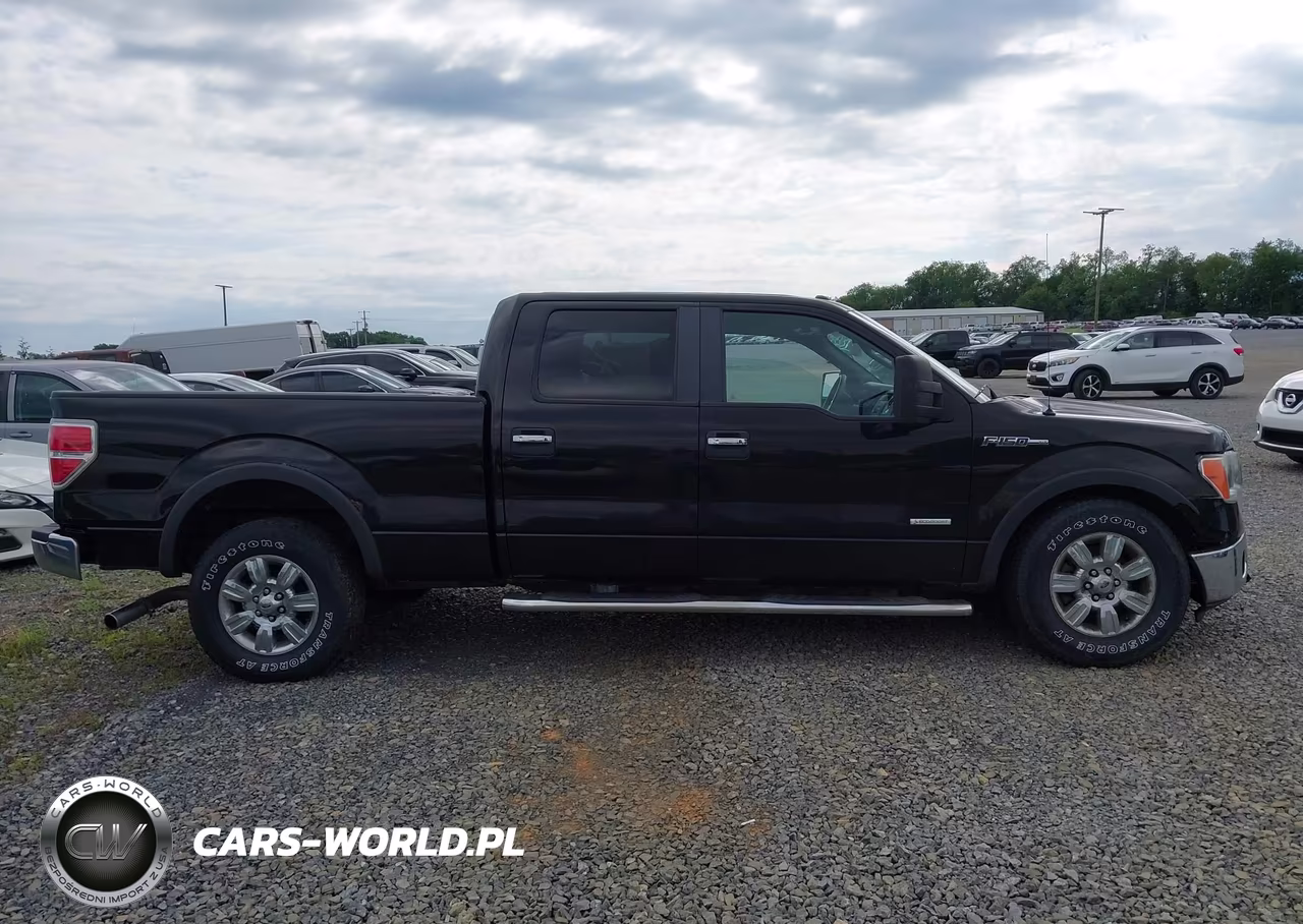 2012 Ford F-150 Xlt VIN:1FTFW1ET6CKD72095 - 13