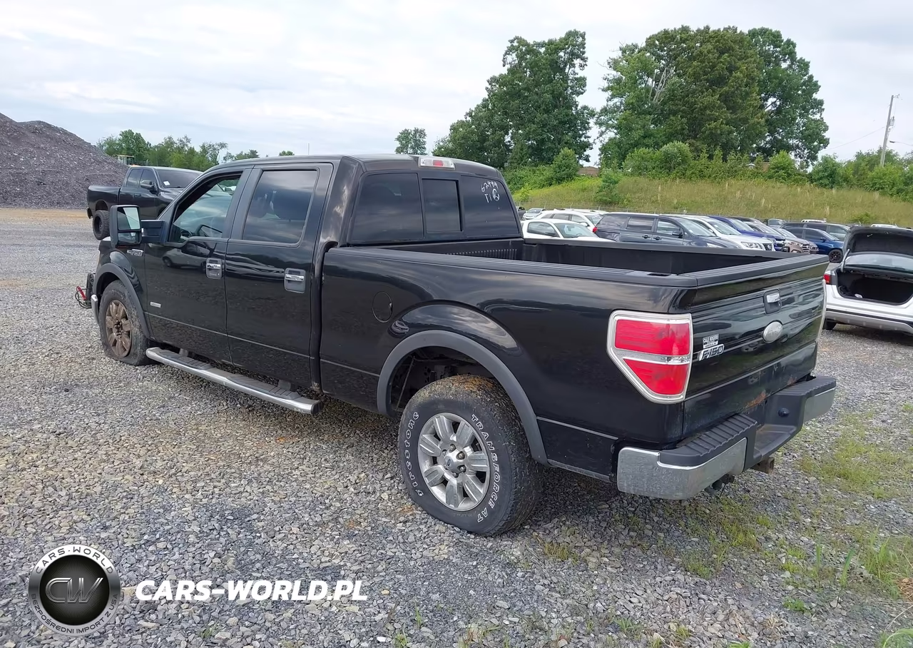 2012 Ford F-150 Xlt VIN:1FTFW1ET6CKD72095 - 3