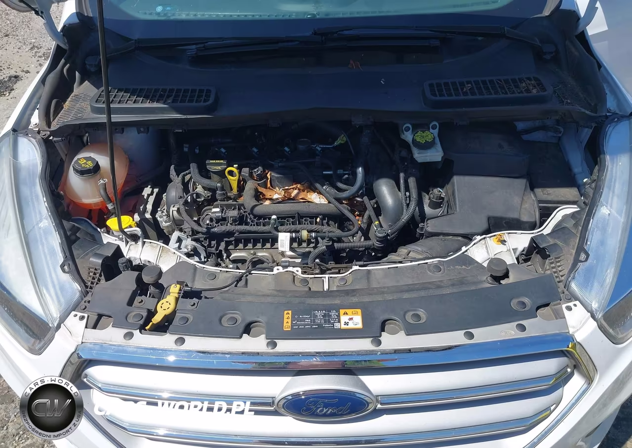 2019 Ford Escape Se VIN:1FMCU0GD2KUA88101 - 10