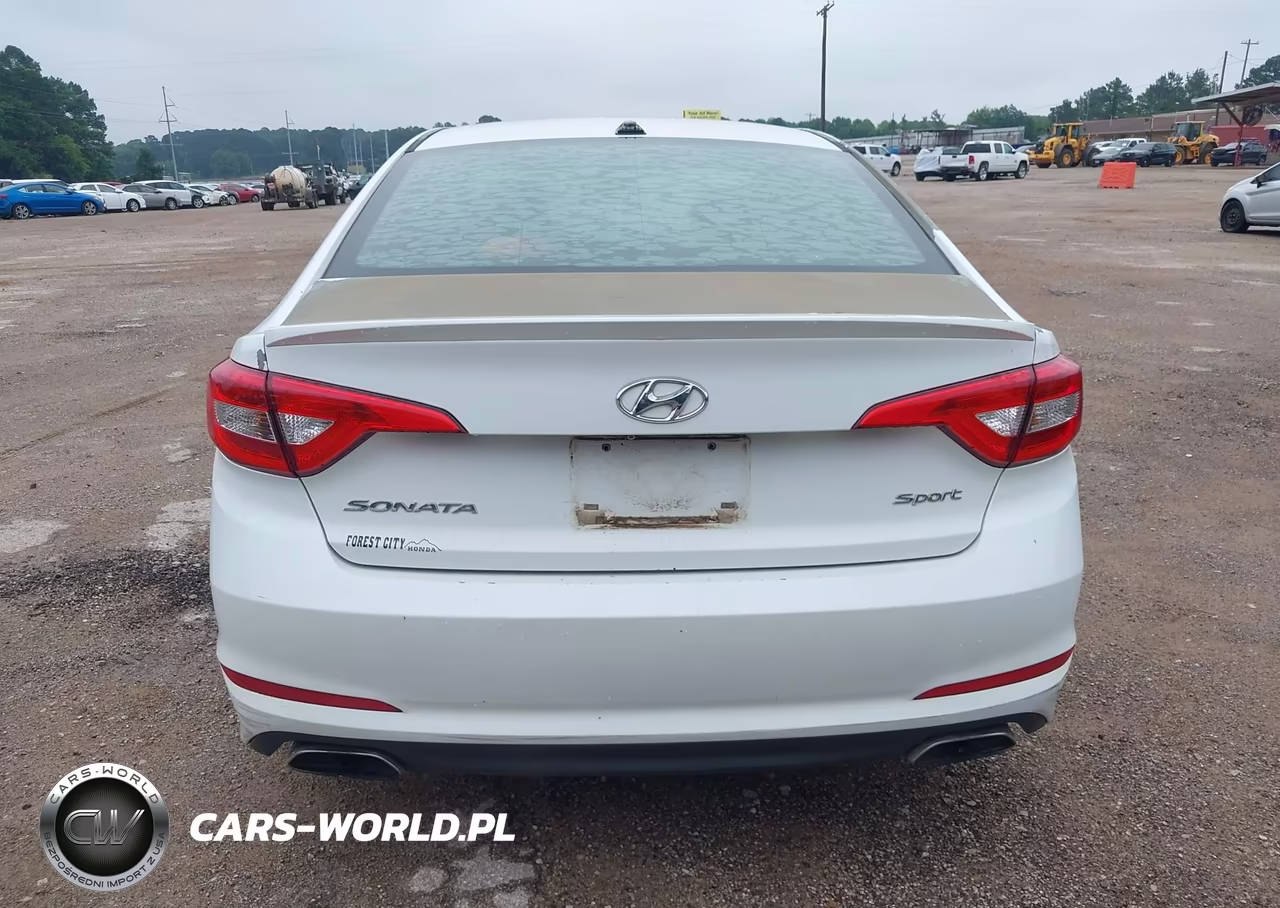 2017 Hyundai Sonata Sport VIN:5NPE34AF1HH483066 - 16