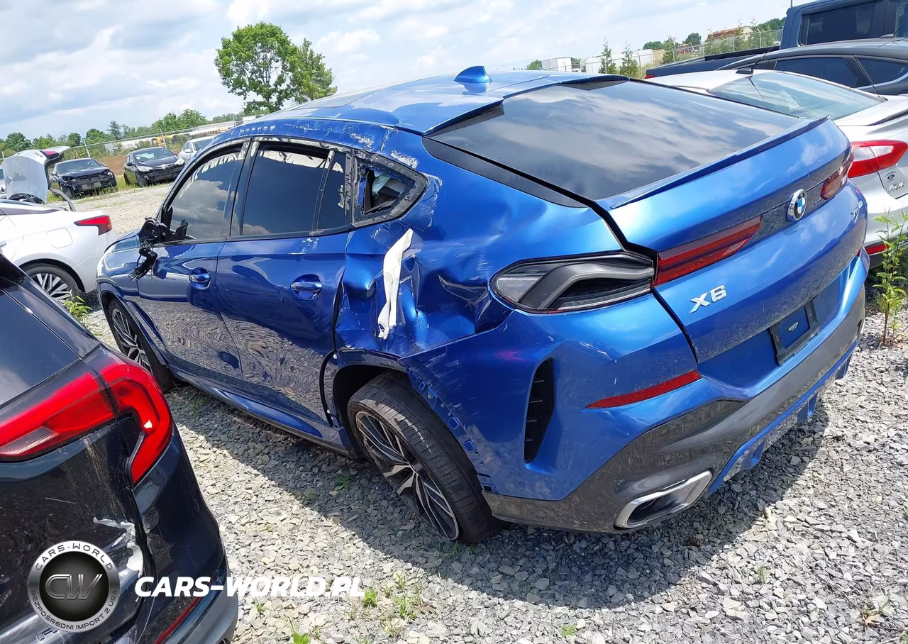 2020 BMW X6 xDrive40I VIN:5UXCY6C07L9C66010 - 3