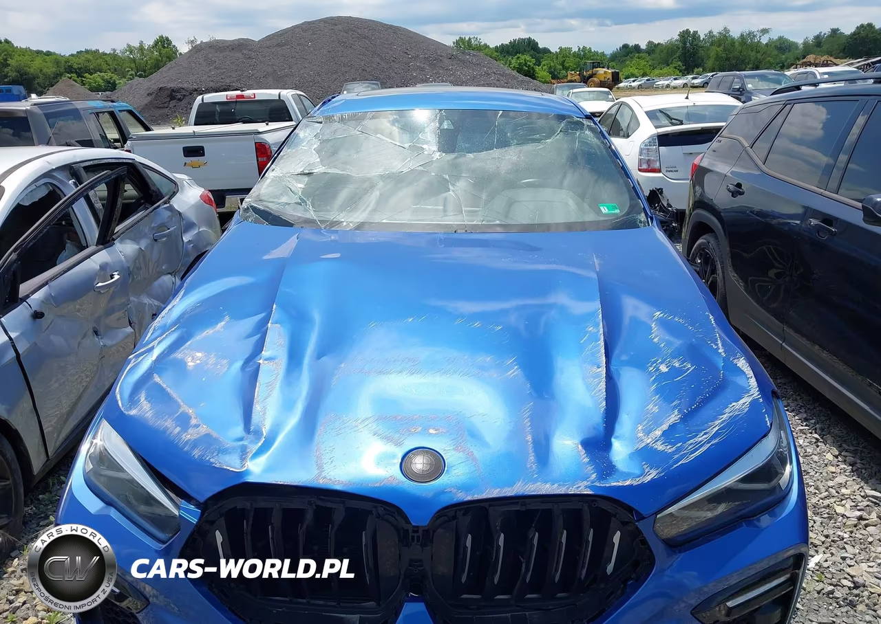 2020 BMW X6 xDrive40I VIN:5UXCY6C07L9C66010 - 6