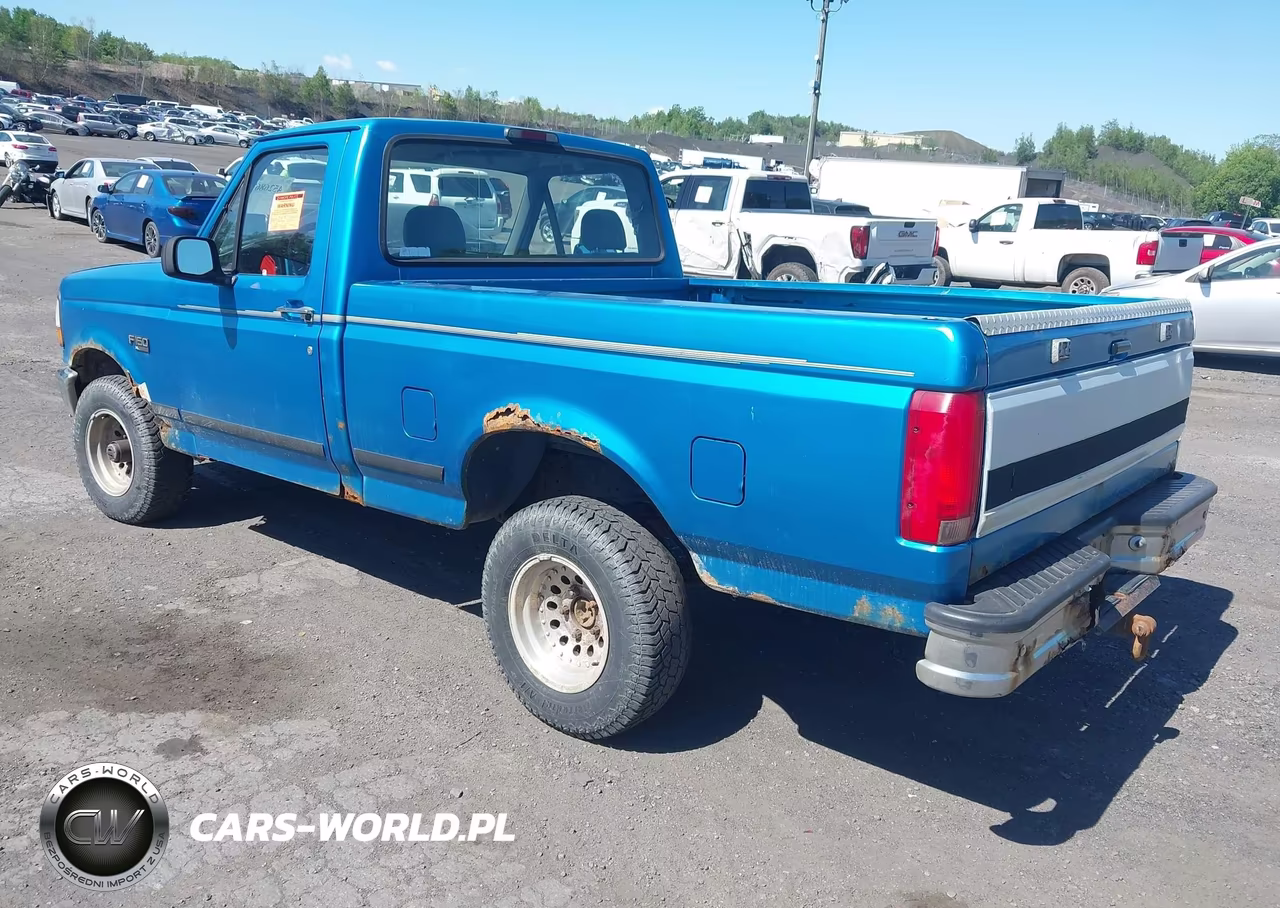 1994 Ford F150 VIN:1FTEF14Y7RNA87731 - 3