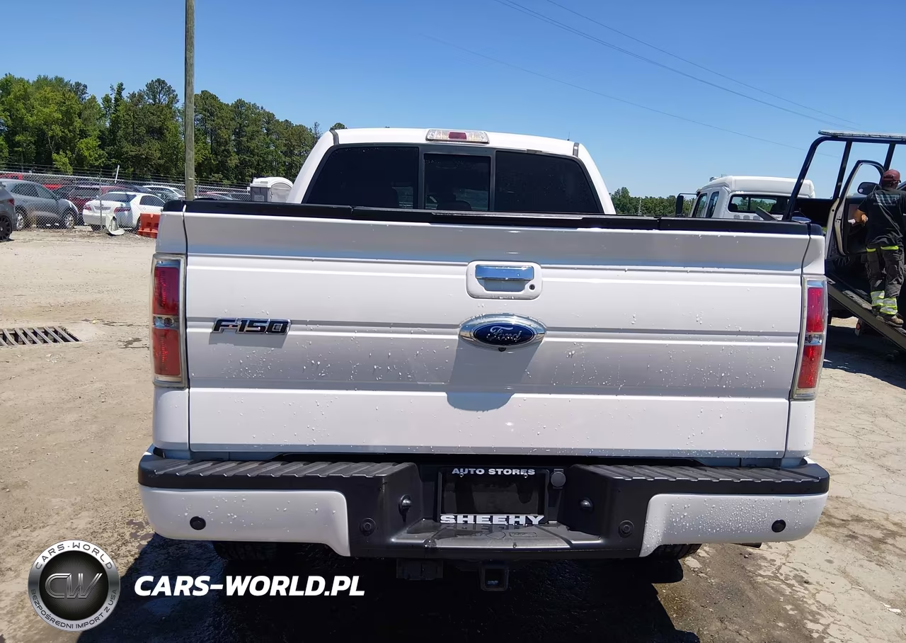 2013 Ford F-150 Limited VIN:1FTFW1ET8DFA99798 - 16