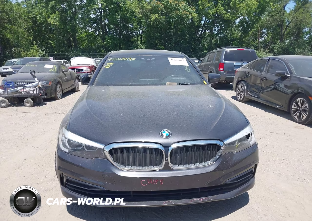 2019 BMW 540I VIN:WBAJE5C5XKWE66299 - 12