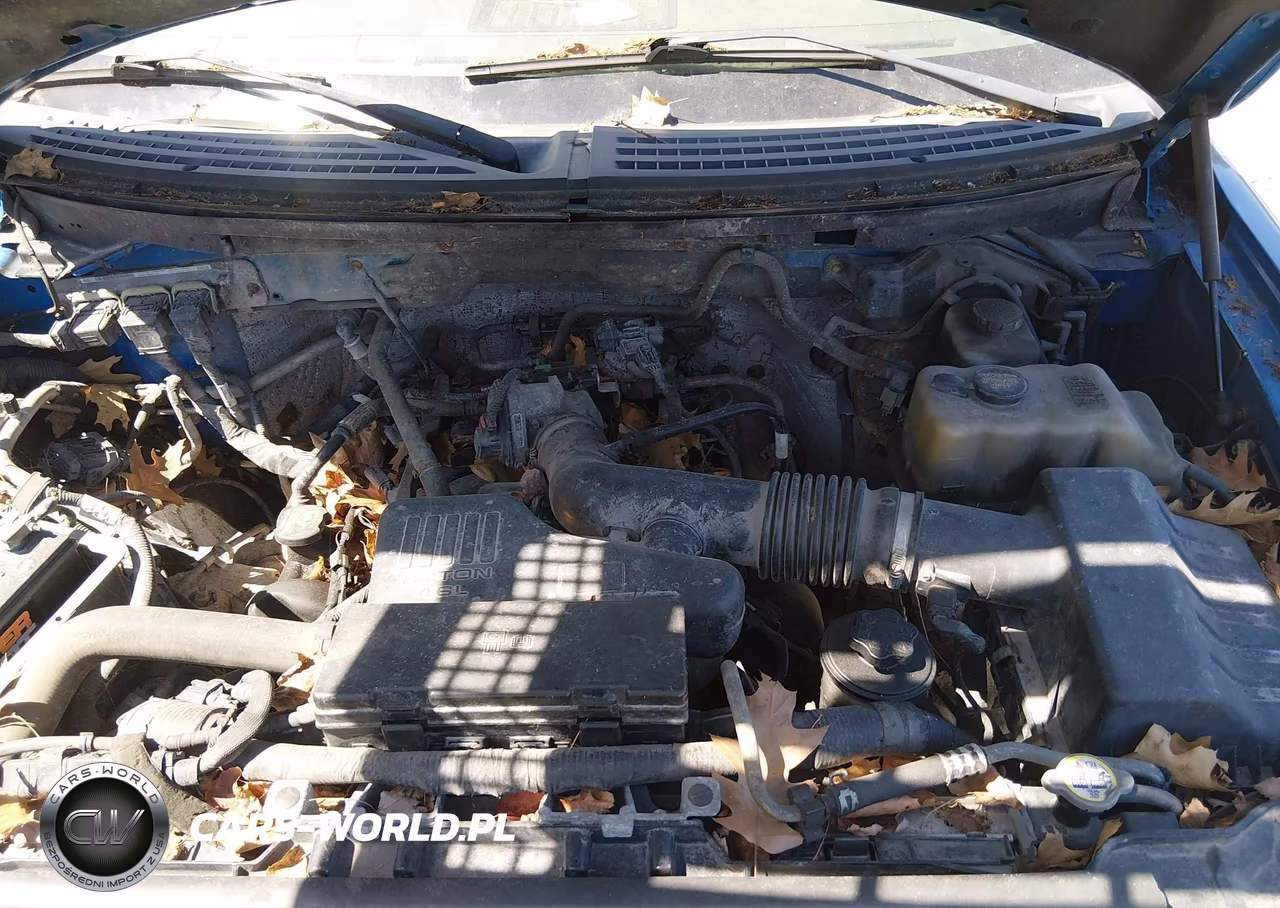 2010 Ford F-150 Stx-Xl VIN:1FTEX1EW8AFC80768 - 10