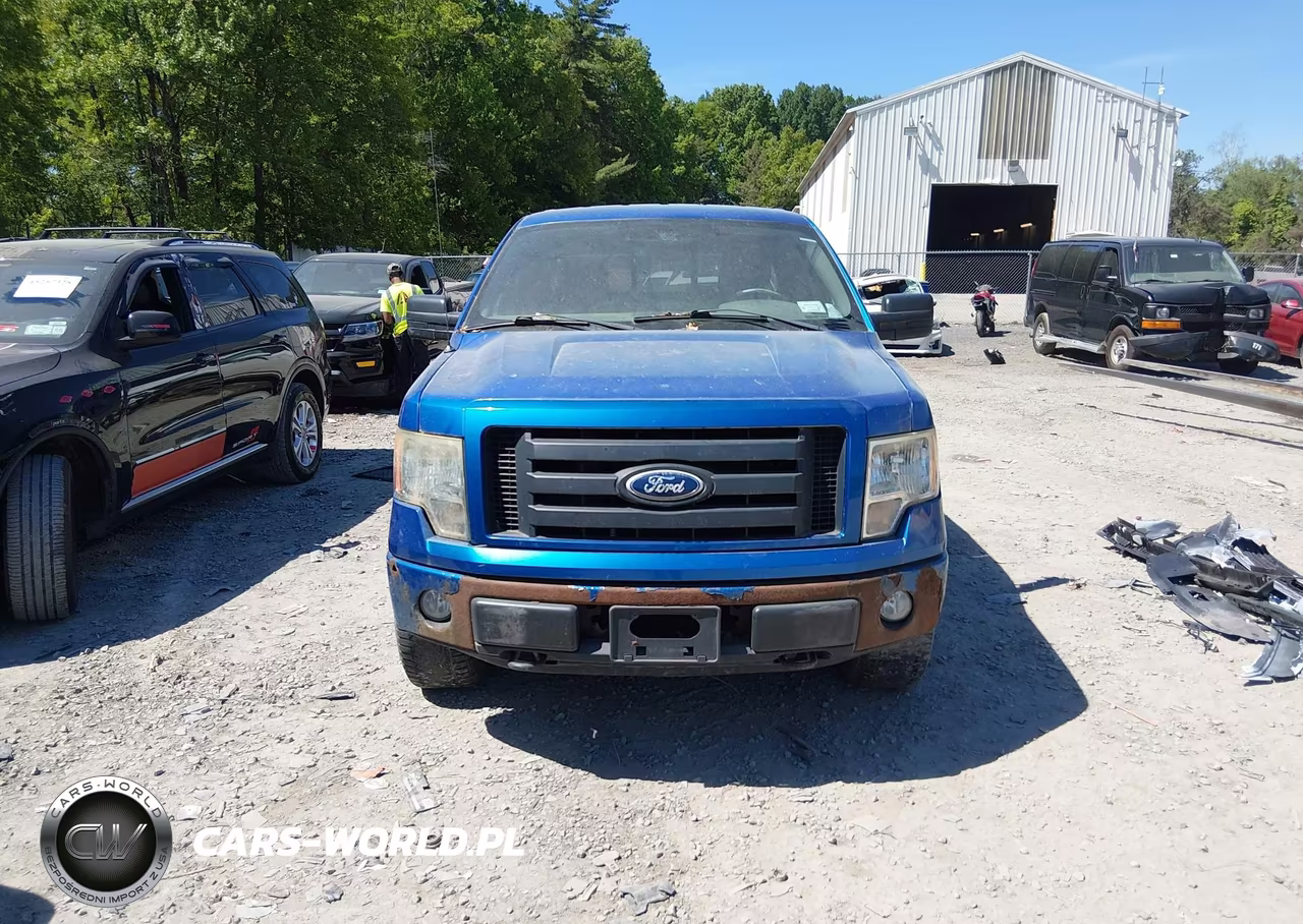 2010 Ford F-150 Stx-Xl VIN:1FTEX1EW8AFC80768 - 12