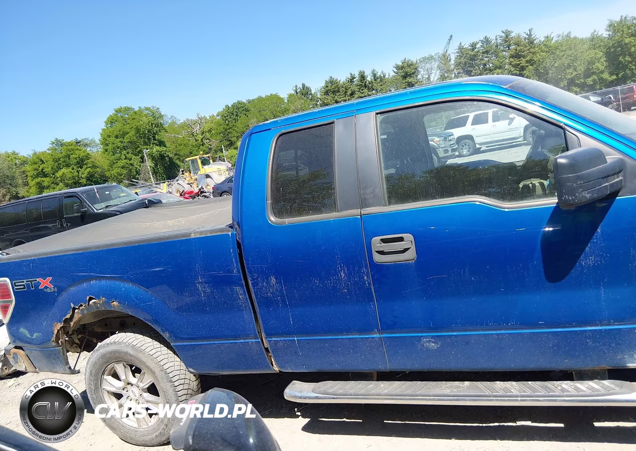2010 Ford F-150 Stx-Xl VIN:1FTEX1EW8AFC80768 - 13
