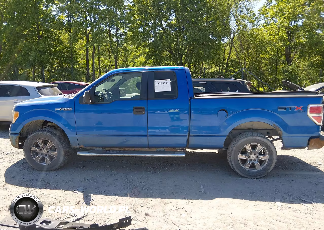 2010 Ford F-150 Stx-Xl VIN:1FTEX1EW8AFC80768 - 14