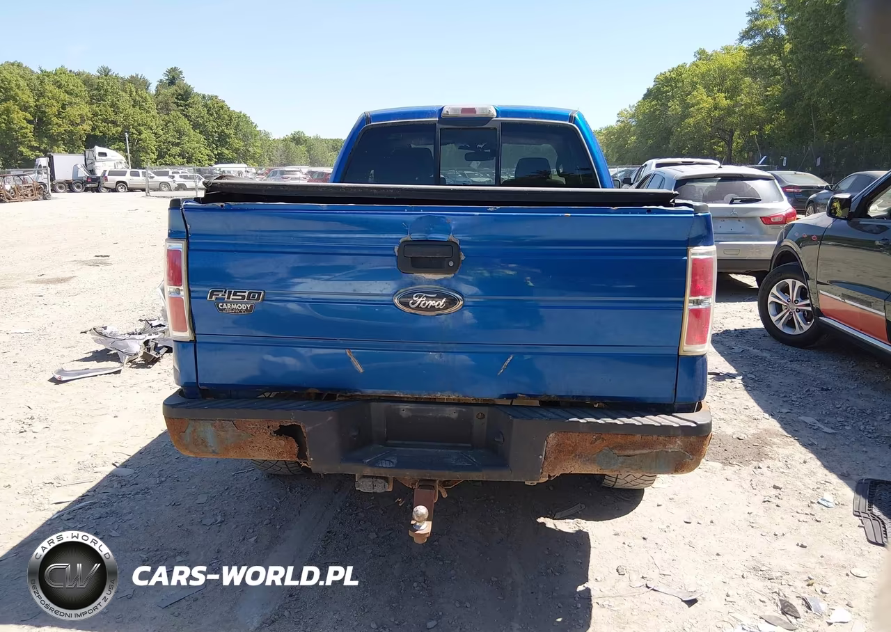 2010 Ford F-150 Stx-Xl VIN:1FTEX1EW8AFC80768 - 16