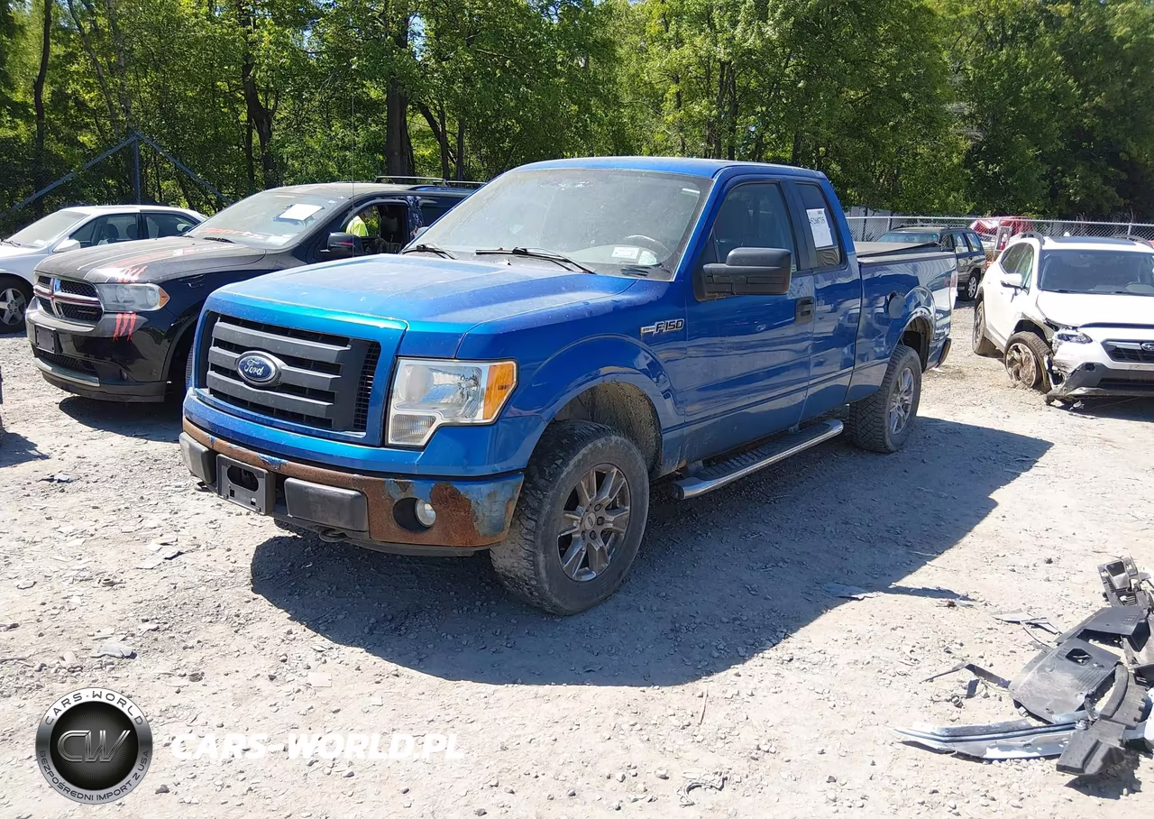 2010 Ford F-150 Stx-Xl VIN:1FTEX1EW8AFC80768 - 2