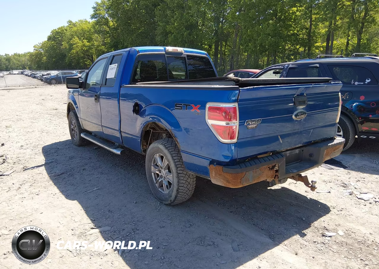 2010 Ford F-150 Stx-Xl VIN:1FTEX1EW8AFC80768 - 3