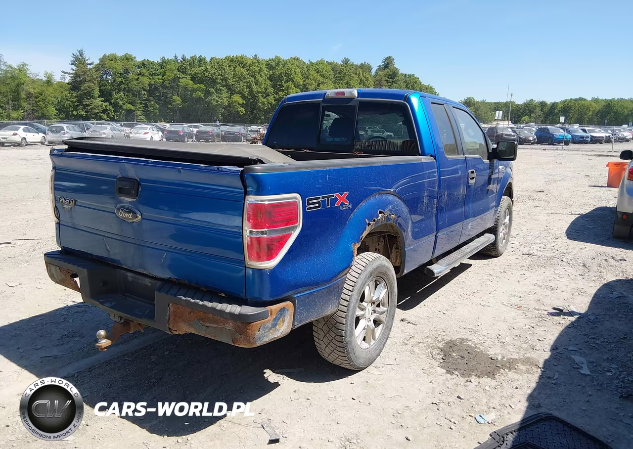 2010 Ford F-150 Stx-Xl VIN:1FTEX1EW8AFC80768 - 4
