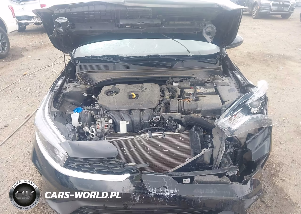 2022 Kia Forte Lxs VIN:3KPF24AD5NE425161 - 10