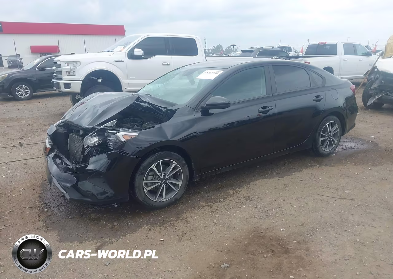 2022 Kia Forte Lxs VIN:3KPF24AD5NE425161 - 2