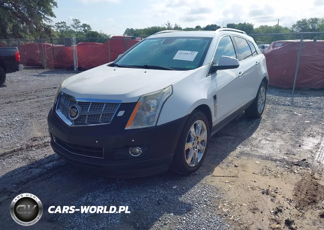 2010 Cadillac Srx Premium Collection VIN:3GYFNFEY3AS528665 - 2