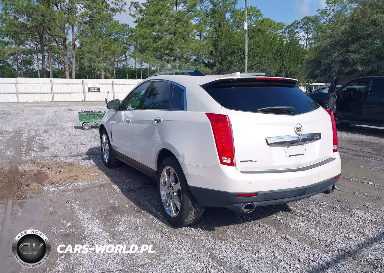 2010 Cadillac Srx Premium Collection VIN:3GYFNFEY3AS528665 - 3
