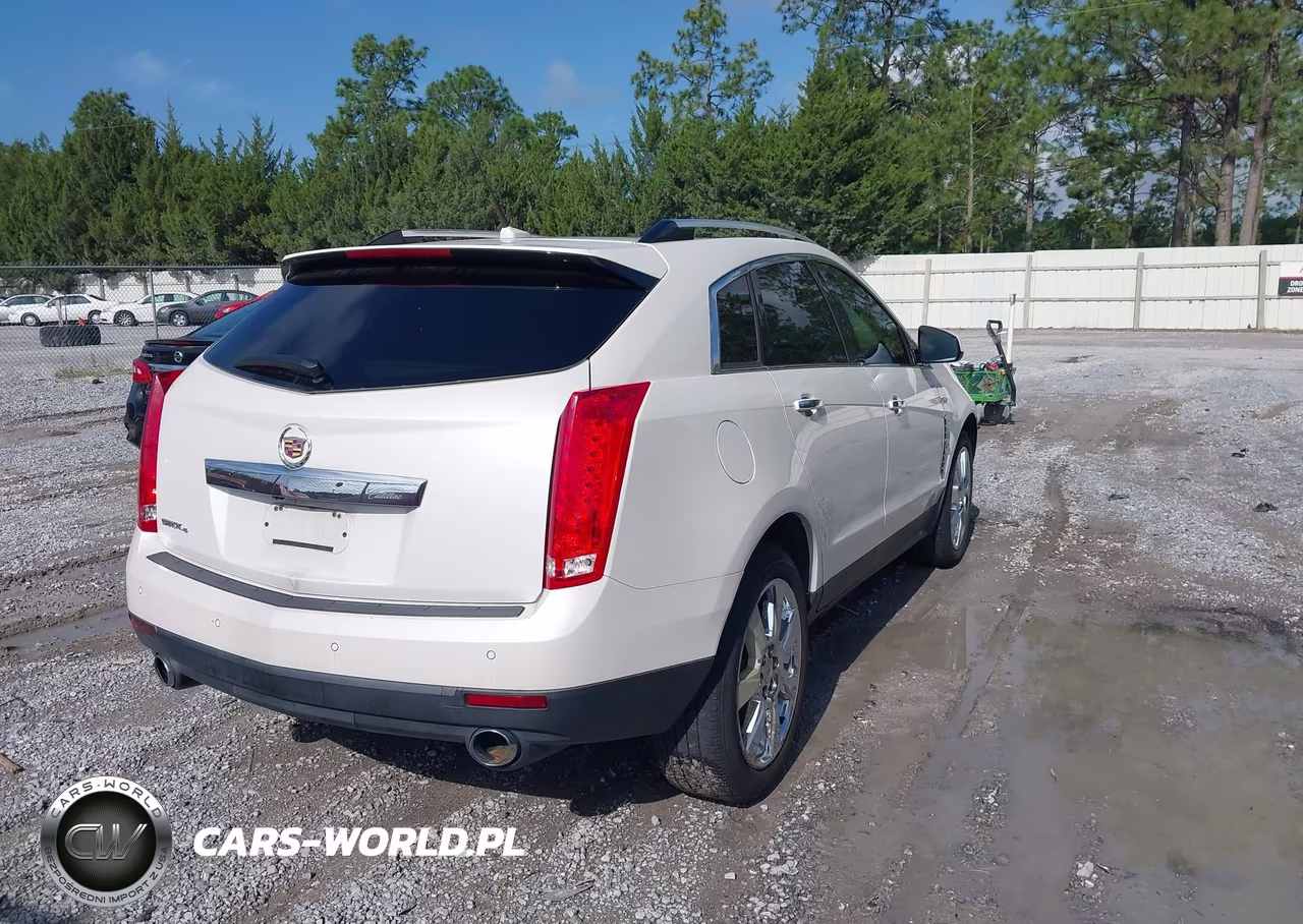 2010 Cadillac Srx Premium Collection VIN:3GYFNFEY3AS528665 - 4