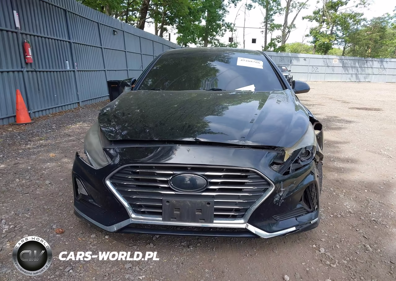 2019 Hyundai Sonata Se VIN:5NPE24AF8KH750259 - 12