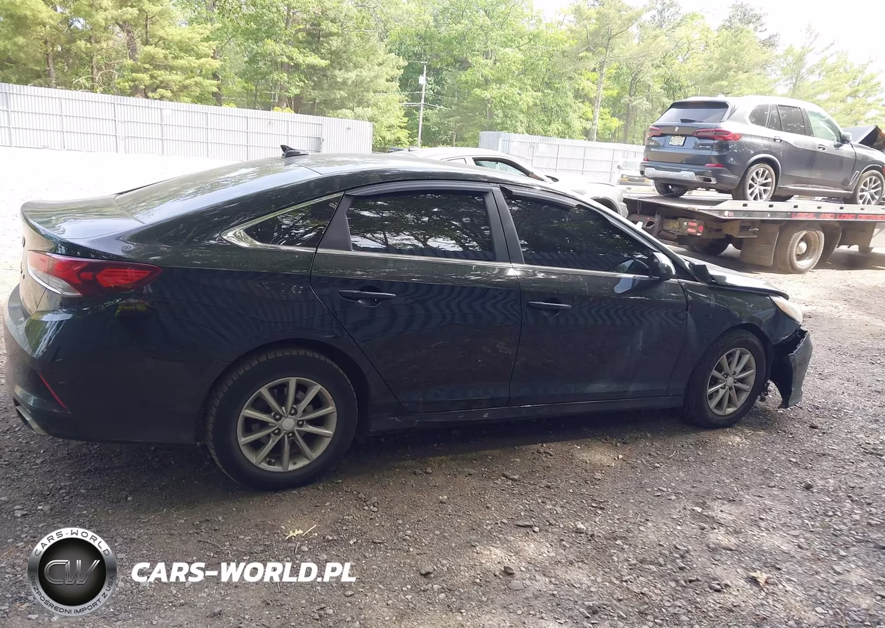 2019 Hyundai Sonata Se VIN:5NPE24AF8KH750259 - 13