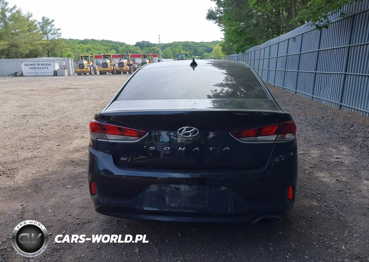 2019 Hyundai Sonata Se VIN:5NPE24AF8KH750259 - 16