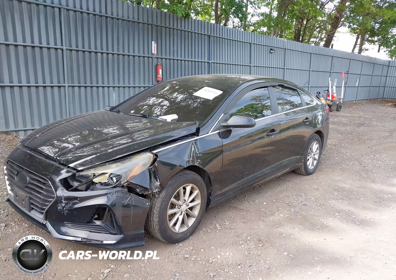 2019 Hyundai Sonata Se VIN:5NPE24AF8KH750259 - 2