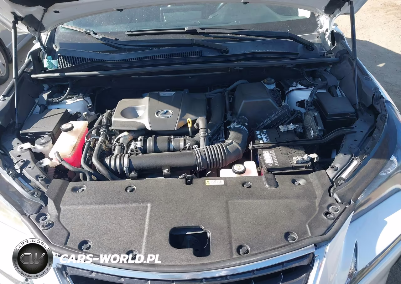 2019 Lexus Nx 300 Base VIN:JTJYARBZ3K2141035 - 10