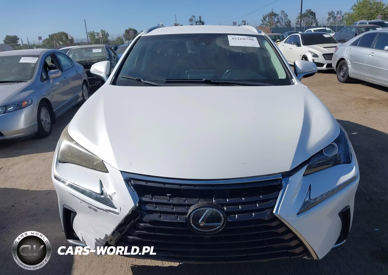 2019 Lexus Nx 300 Base VIN:JTJYARBZ3K2141035 - 12