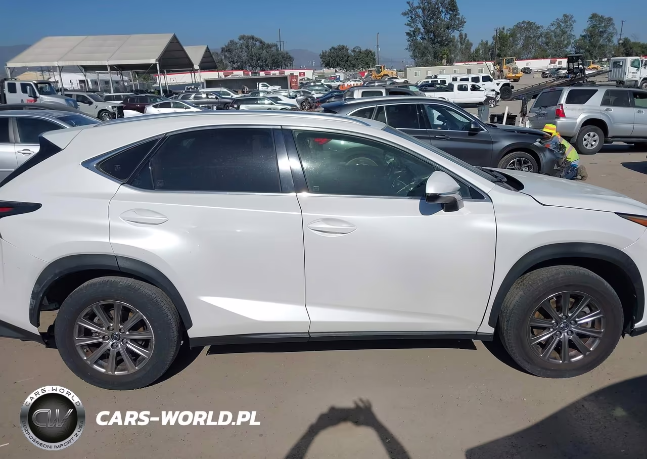 2019 Lexus Nx 300 Base VIN:JTJYARBZ3K2141035 - 13