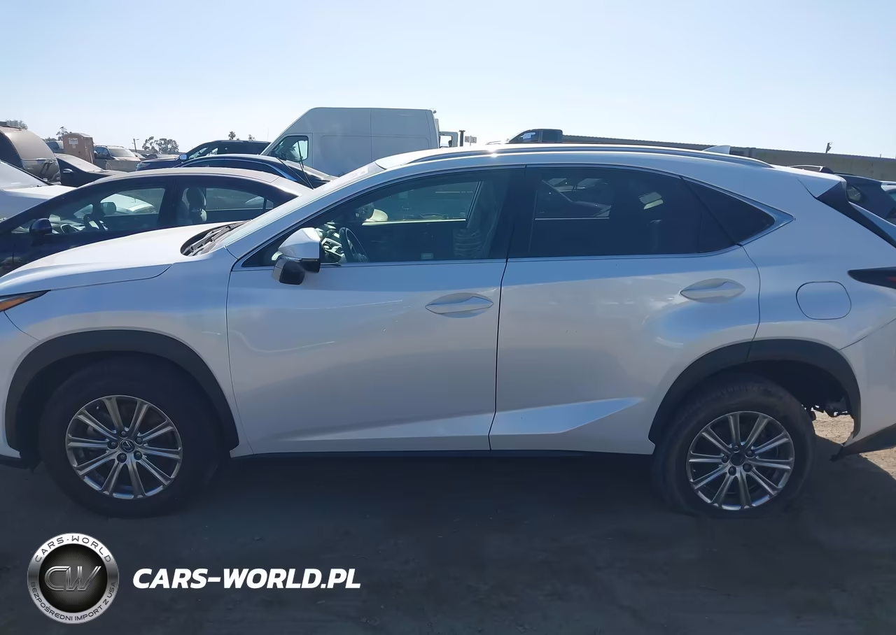 2019 Lexus Nx 300 Base VIN:JTJYARBZ3K2141035 - 14
