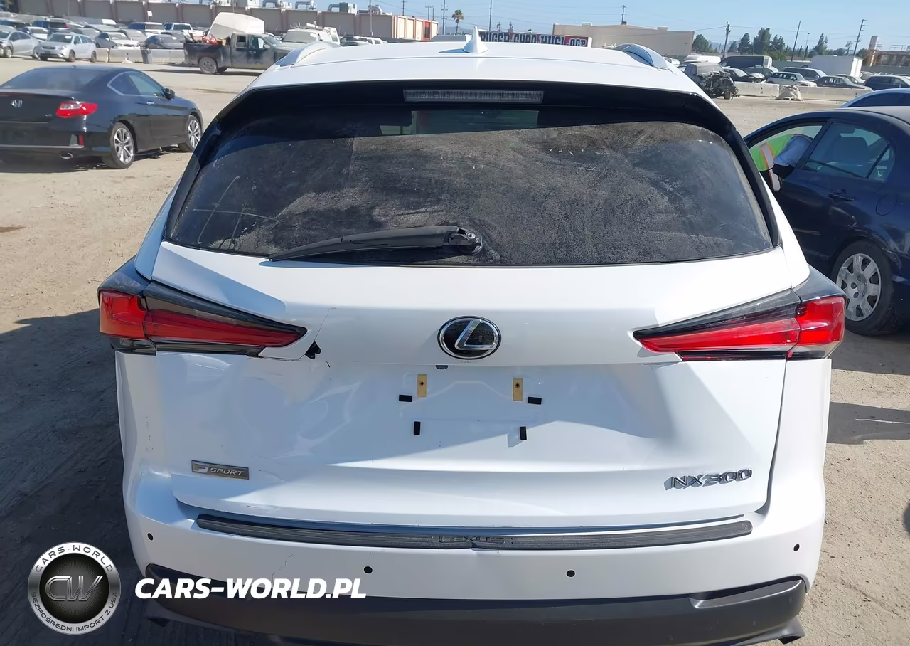2019 Lexus Nx 300 Base VIN:JTJYARBZ3K2141035 - 16