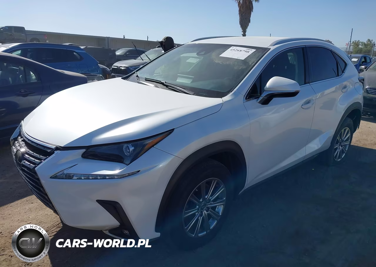 2019 Lexus Nx 300 Base VIN:JTJYARBZ3K2141035 - 2