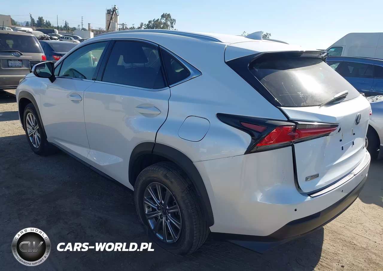 2019 Lexus Nx 300 Base VIN:JTJYARBZ3K2141035 - 3