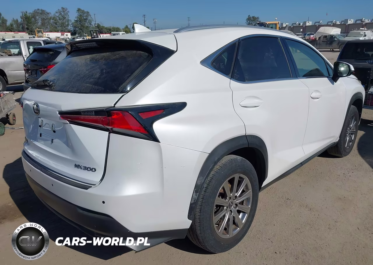 2019 Lexus Nx 300 Base VIN:JTJYARBZ3K2141035 - 4