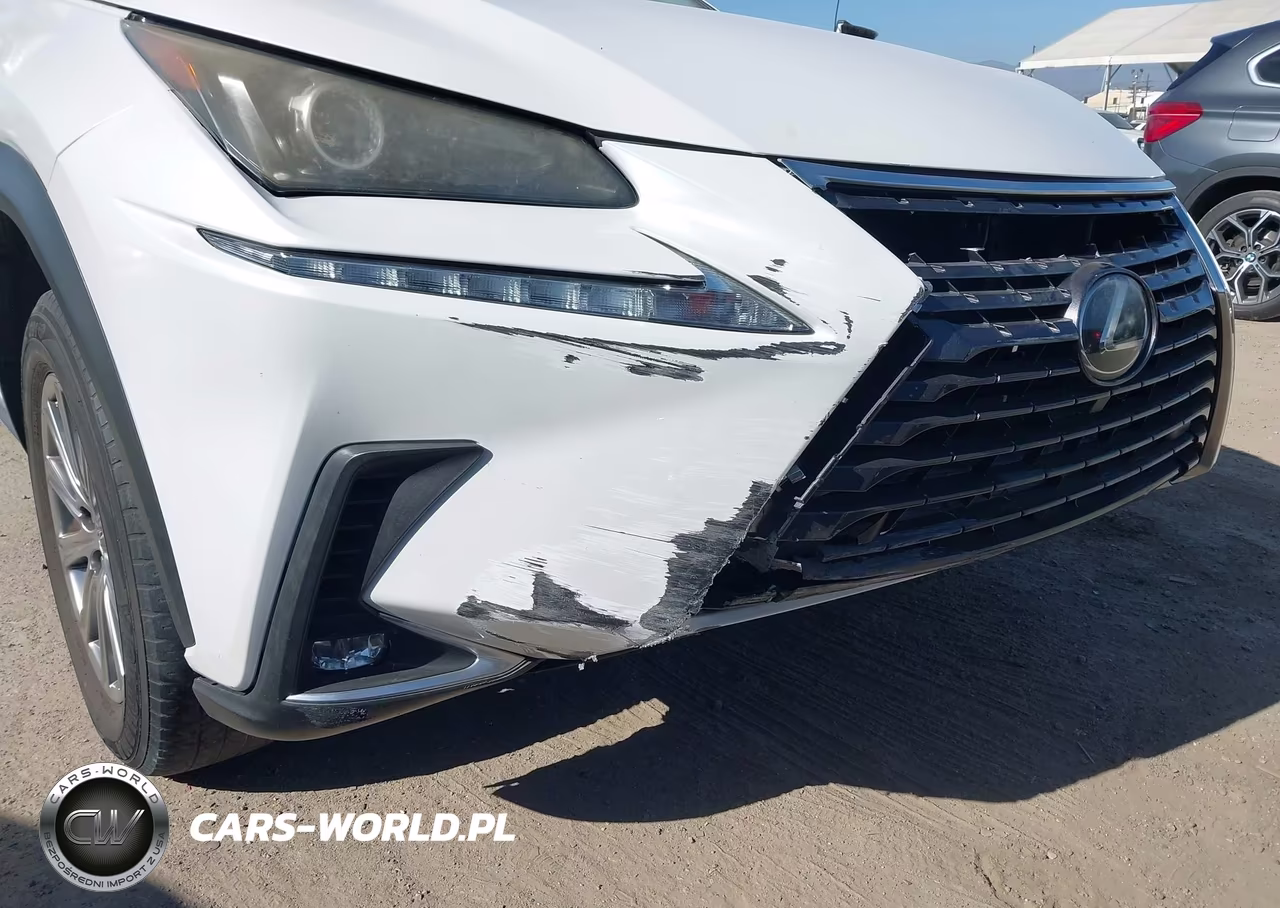 2019 Lexus Nx 300 Base VIN:JTJYARBZ3K2141035 - 6