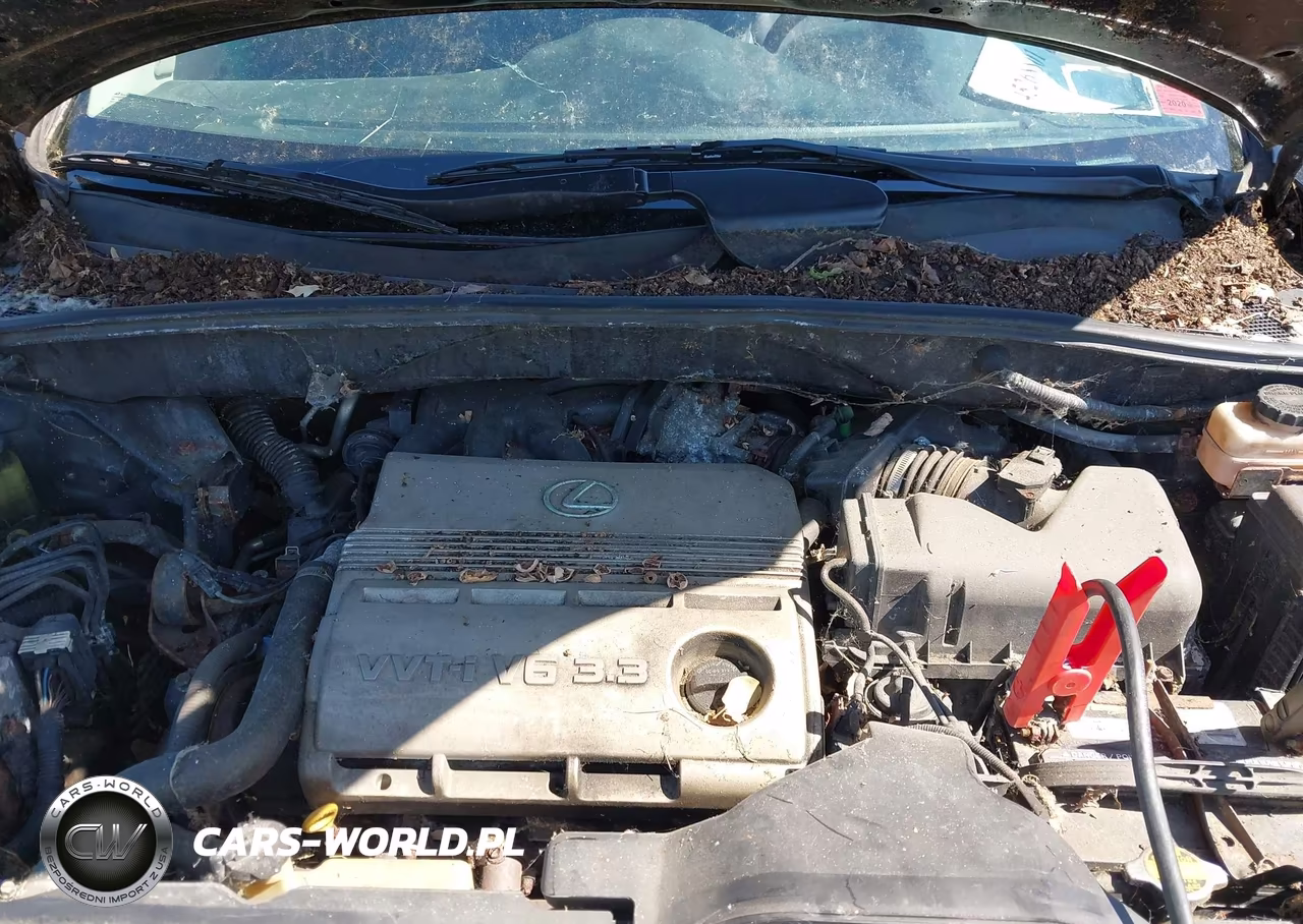 2004 Lexus Rx 330 VIN:2T2HA31U84C015744 - 10