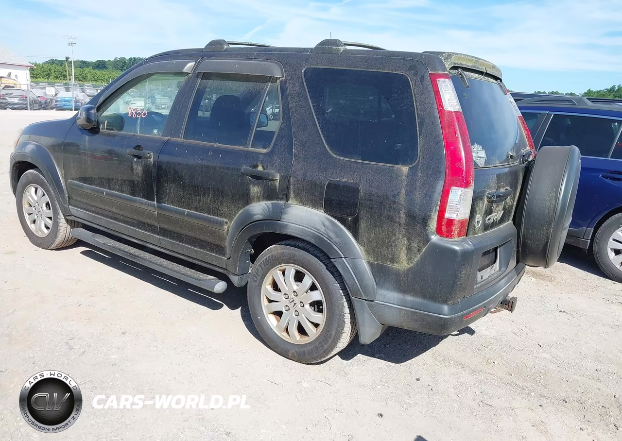2006 Honda Cr-V Ex VIN:JHLRD78886C040738 - 3