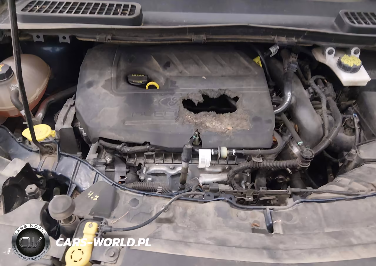 2018 Ford Escape Se VIN:1FMCU9GD9JUA12359 - 6