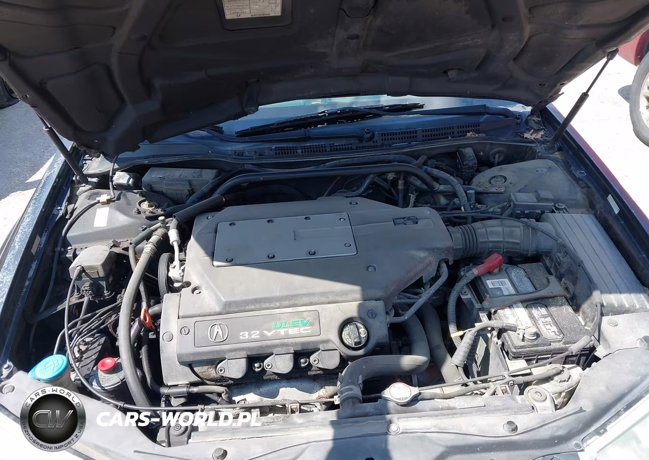 2003 Acura Tl 3.2 VIN:19UUA56613A064393 - 10