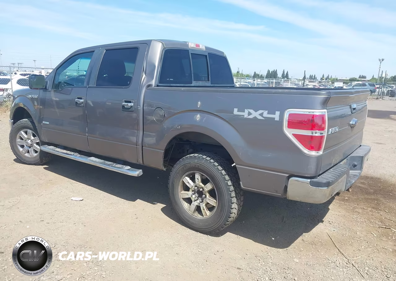 2014 Ford F-150 Xlt VIN:1FTFW1ET7EKE01655 - 3